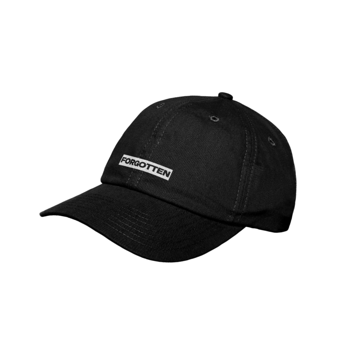 Box logo dad hat
