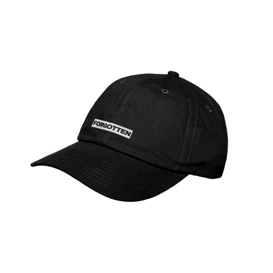 Box logo dad hat